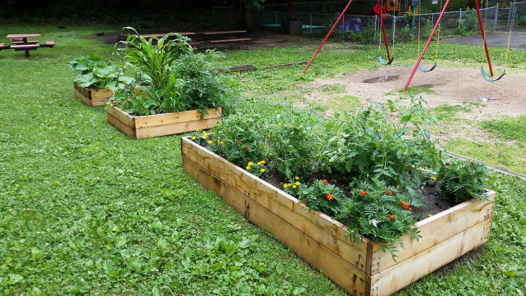 co-op backyard featuring a wooden garden box full of plants, a swing set, and picnic tables